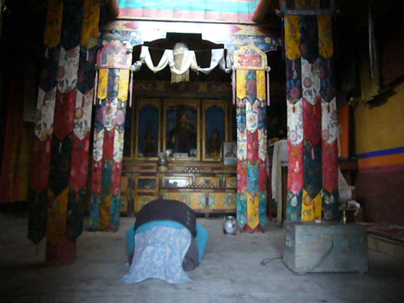 Travel - India - Ladakh - Hemes National Park - Kaya Village - Around village Kaya